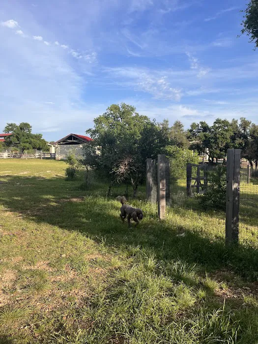 Garey Park Dog Ranch 9