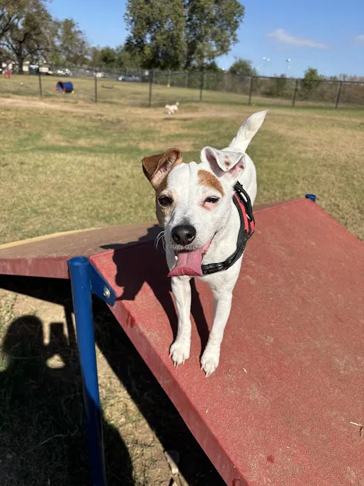 Bark Park 1