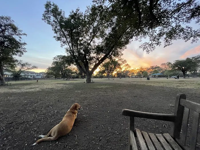 Bark Park 3