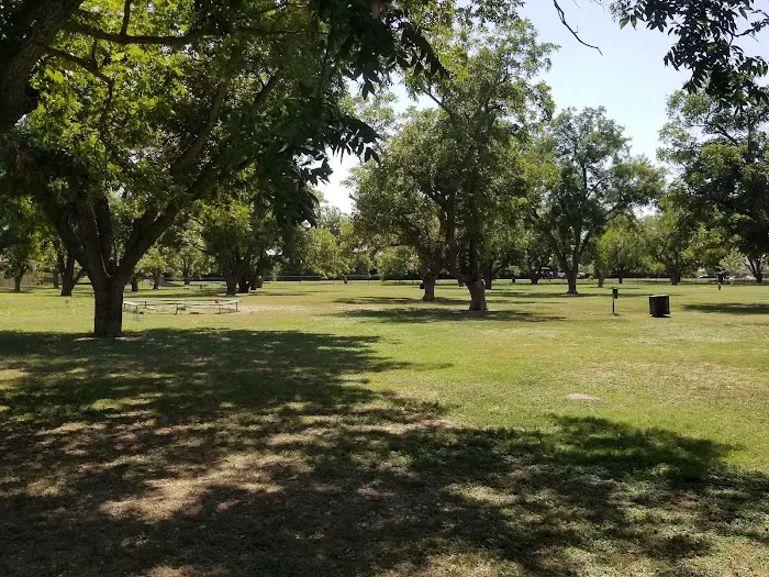 Bark Park 5