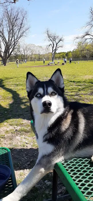Bark Park 6