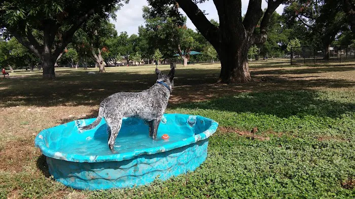 Bark Park 8