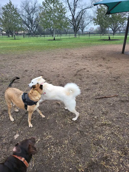 Bark Park 9