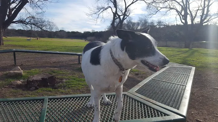 Bark Park 7