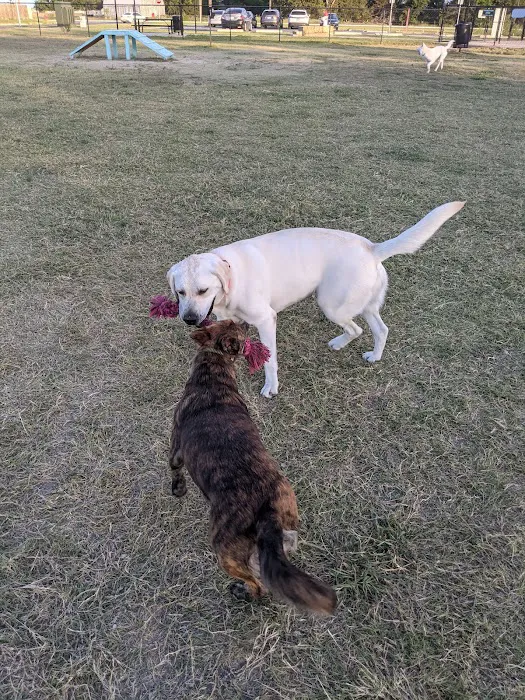 Steeplechase Dog Park 9