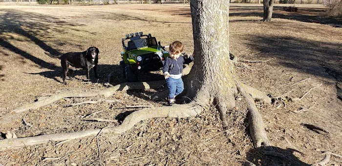 Steeplechase Dog Park 5