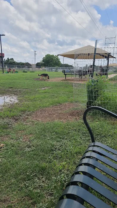 Dog Park 7