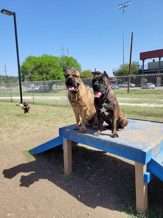 Dog Park 1