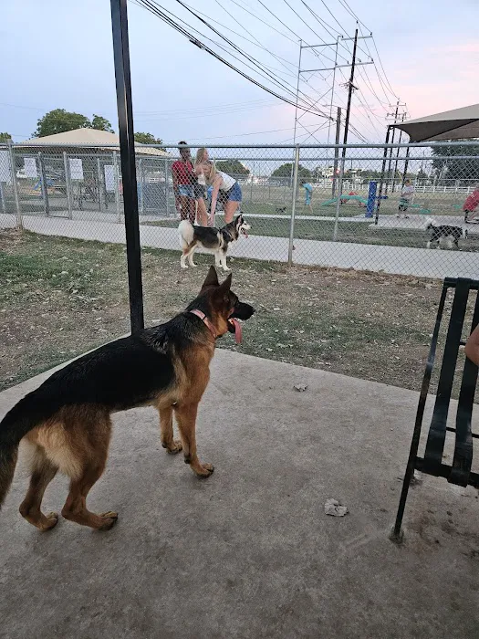 Dog Park 10