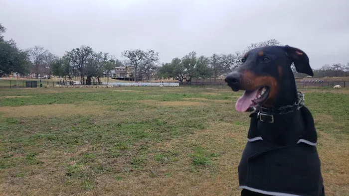 MorningStar Dog Park 1