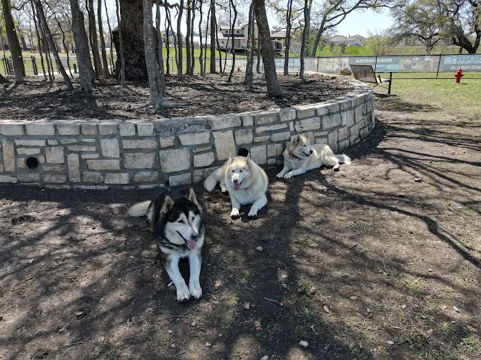MorningStar Dog Park 5