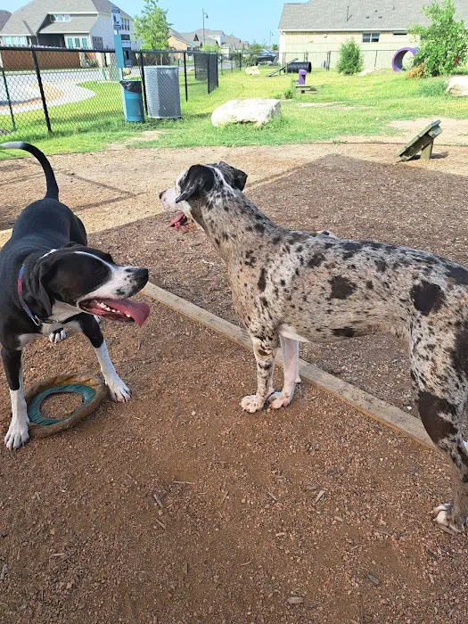 Private Dog Park 4