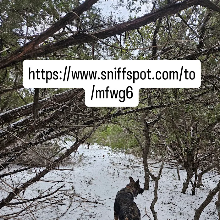 Shady Oaks Retreat 10+ Acre Dog Park 5