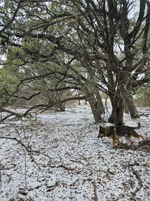 Shady Oaks Retreat 10+ Acre Dog Park 3
