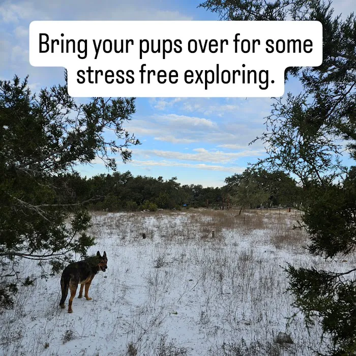 Shady Oaks Retreat 10+ Acre Dog Park 4