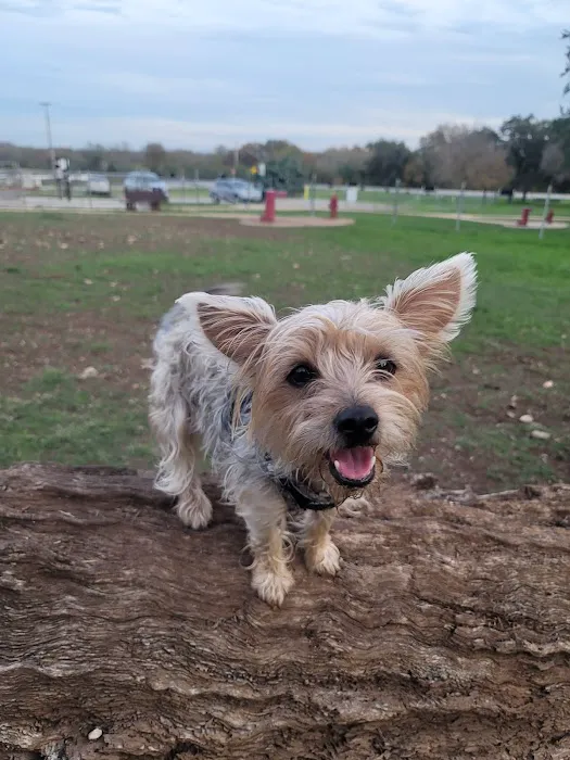 Puppy Playland Dog Park 4