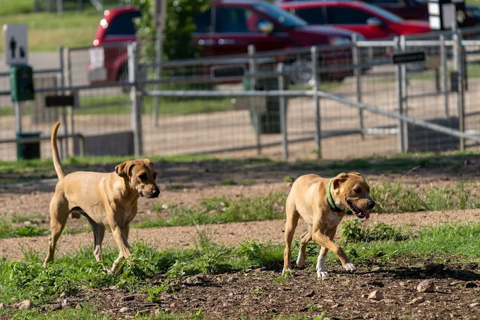 Puppy Playland Dog Park 1