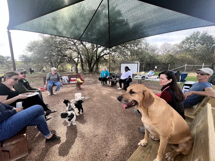Puppy Playland Dog Park 2