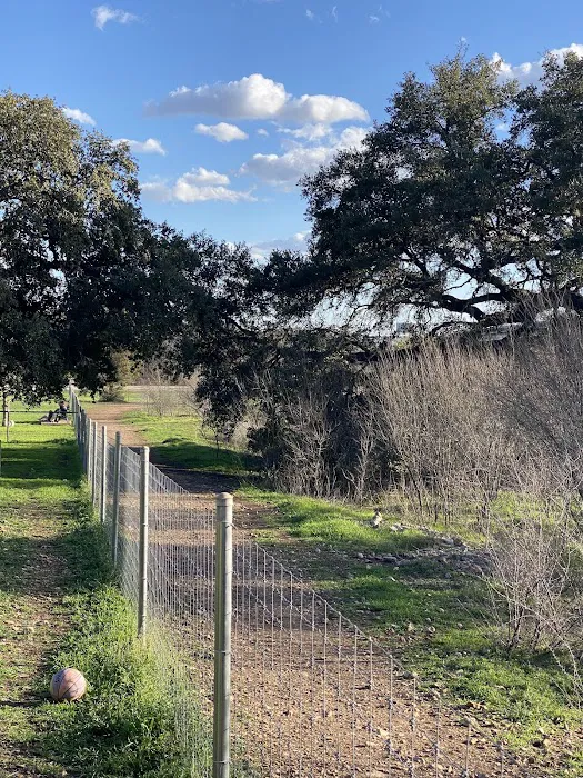 Puppy Playland Dog Park 6