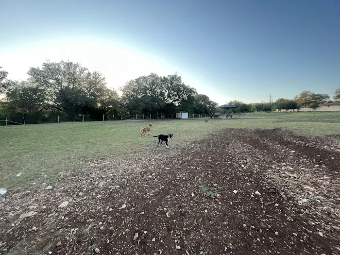 Puppy Playland Dog Park 5