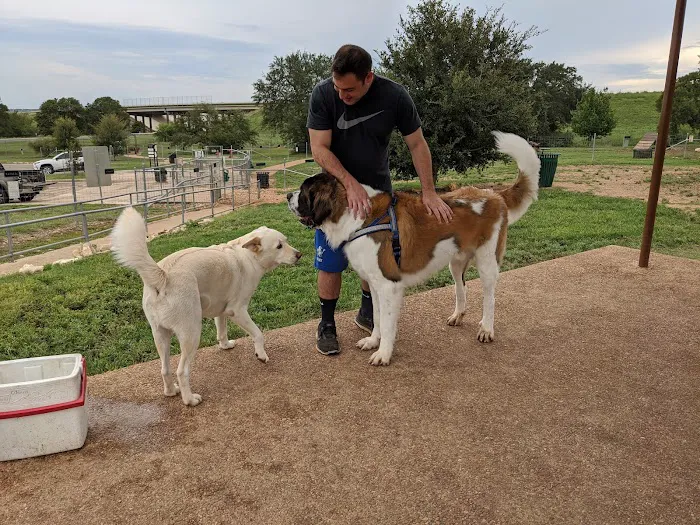 Puppy Playland Dog Park 10