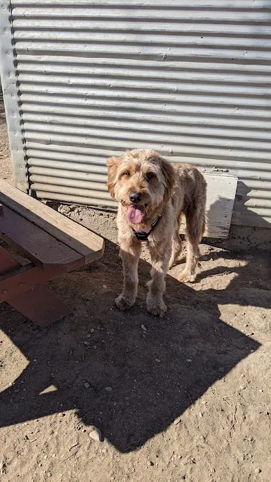 Schertz Dog Park 5