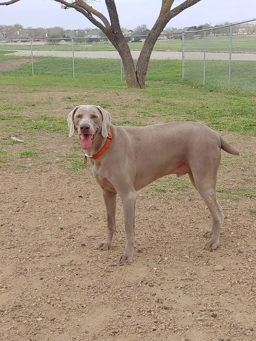 Schertz Dog Park 6