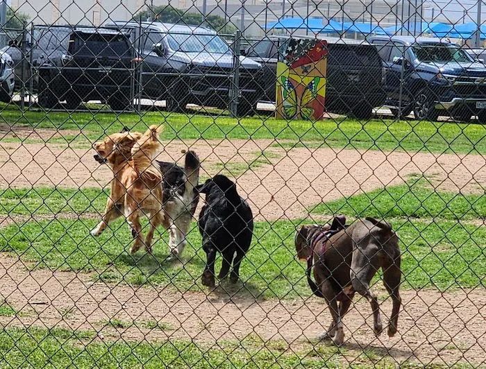Schertz Dog Park 9