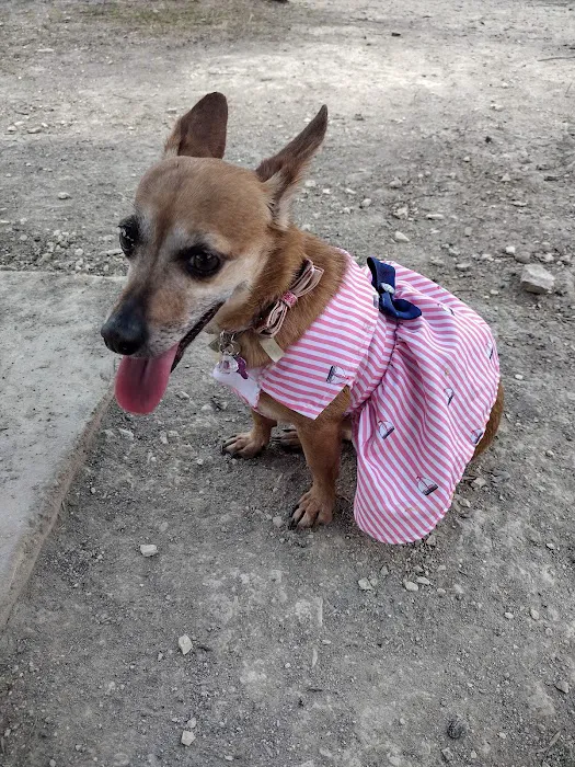 Aina Blake Dog Park 1