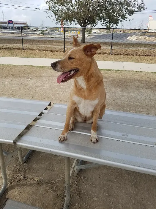 Aina Blake Dog Park 8
