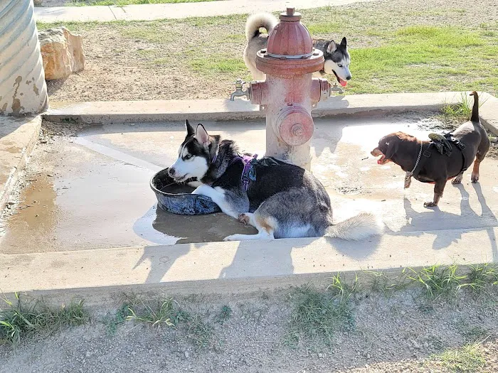 Aina Blake Dog Park 9