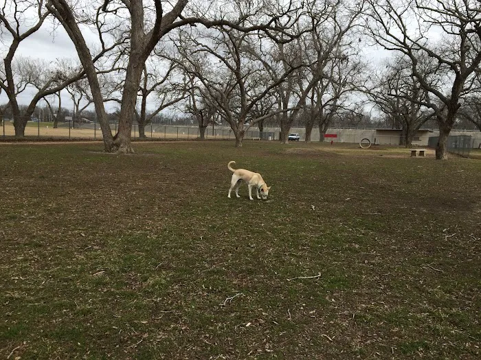 Barky Park 7