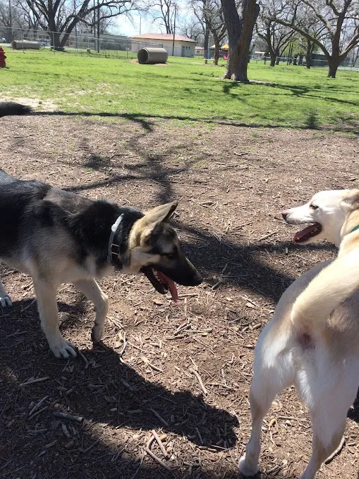 Barky Park 5