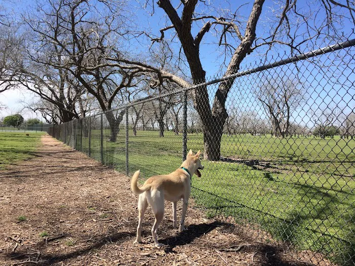 Barky Park 4