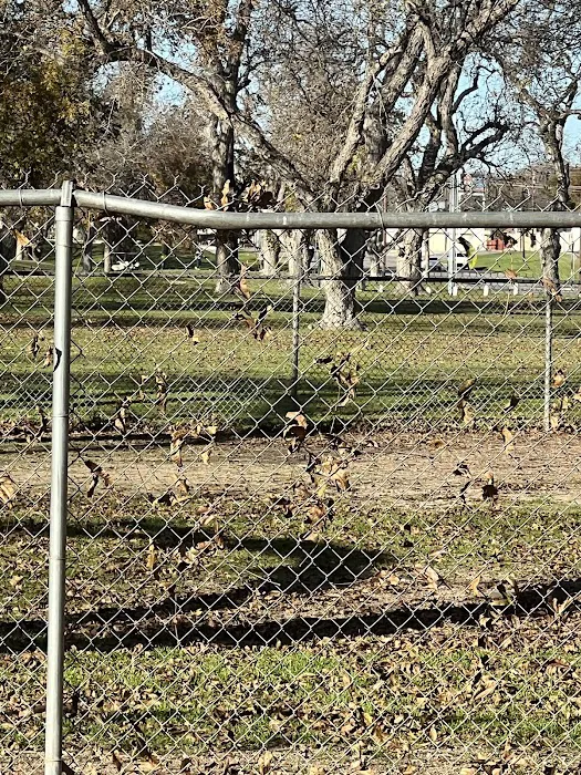 Barky Park 6