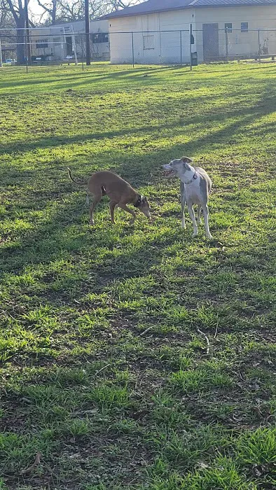 Barky Park 4