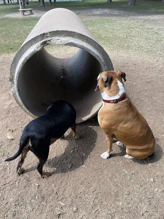 Barky Park 6