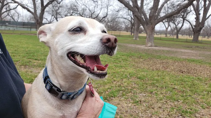 Barky Park 2