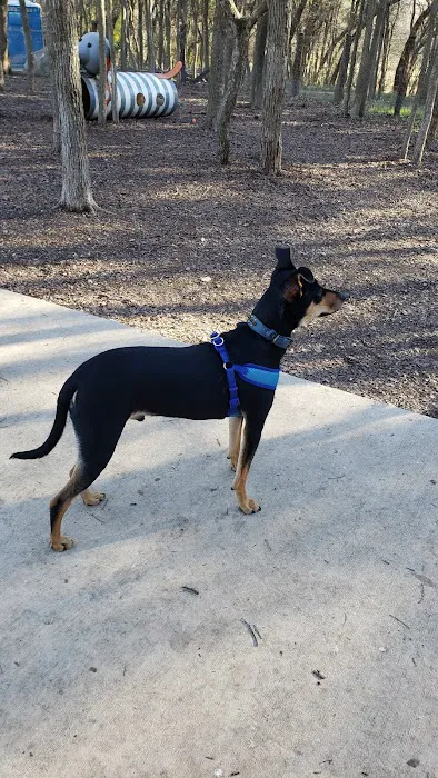 Lady Bird Johnson Dog Park 1