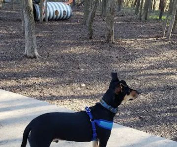 Lady Bird Johnson Dog Park