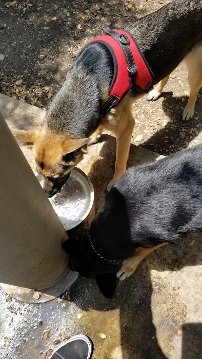 Lady Bird Johnson Dog Park 2