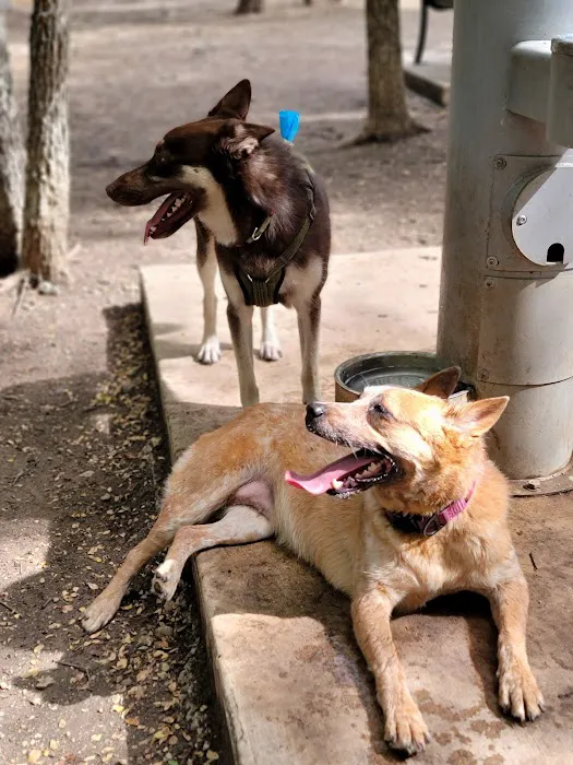 Lady Bird Johnson Dog Park 9