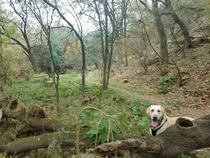 Lady Bird Johnson Dog Park 8