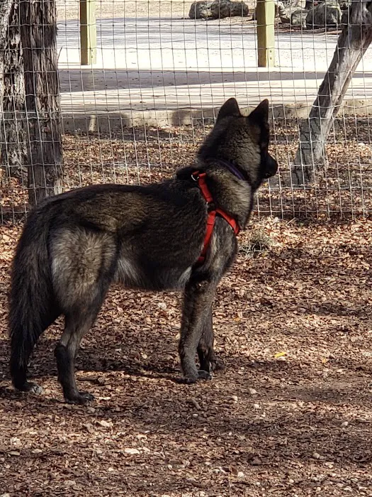 Lady Bird Johnson Dog Park 10