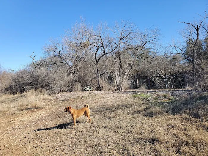 McAllister Dog Park 1
