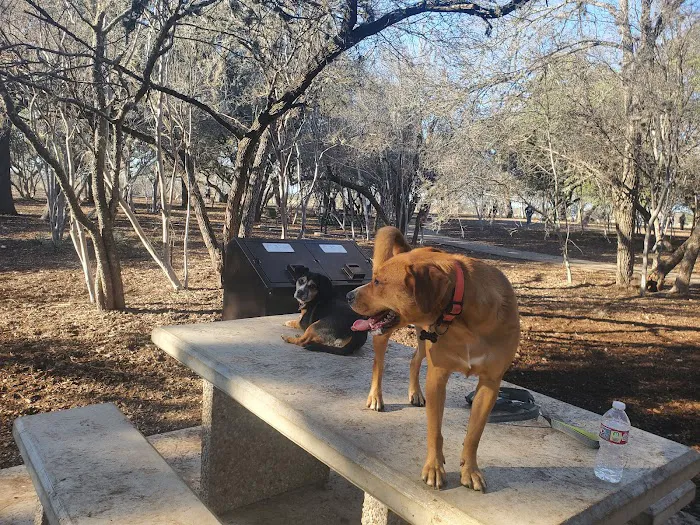 McAllister Dog Park 2