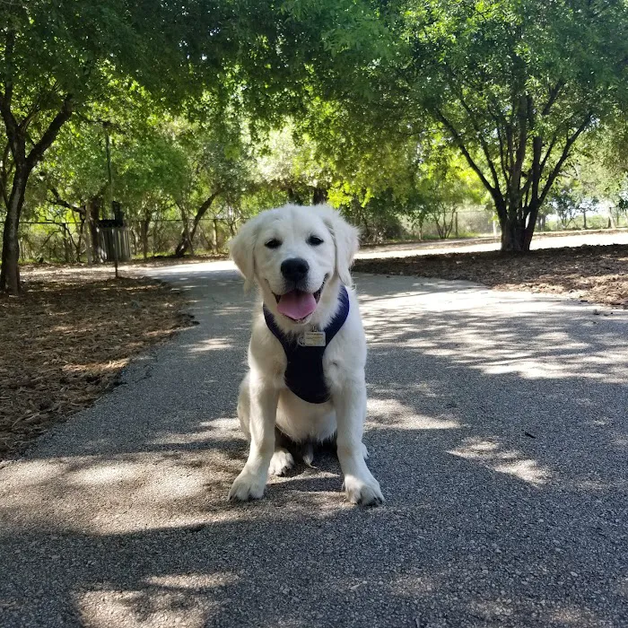 McAllister Dog Park 7