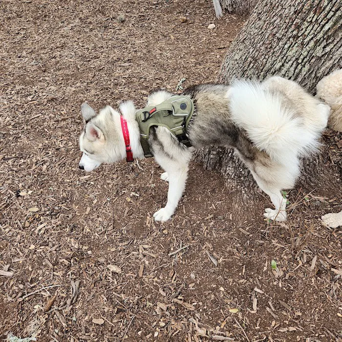 McAllister Dog Park 10