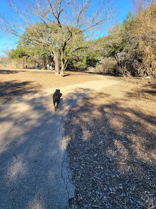 McAllister Dog Park 5