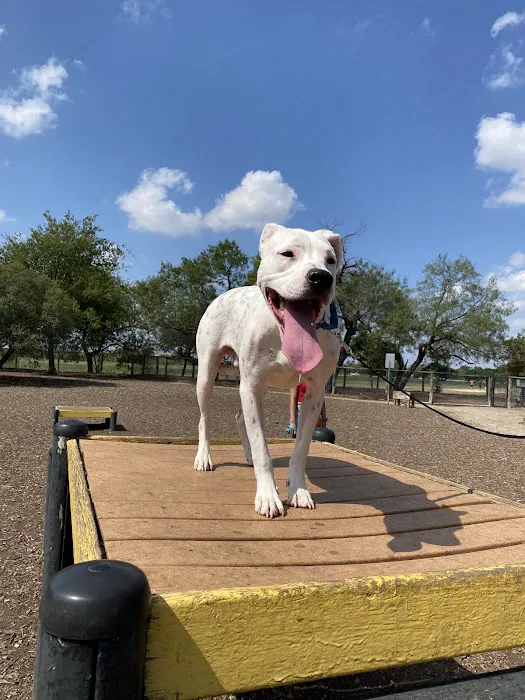 McAllister Dog Park 9